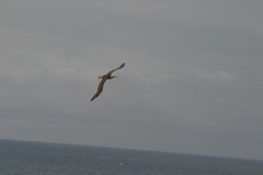 IMG_6244.JPG