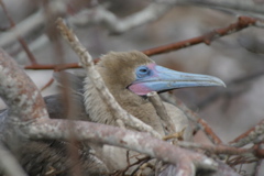 IMG_5275.JPG