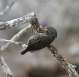 IMG_5323.JPG