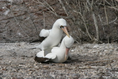 IMG_5336.JPG