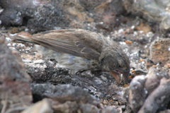 IMG_5355.JPG