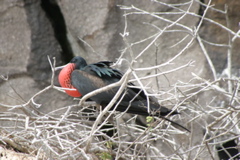 IMG_5409.JPG