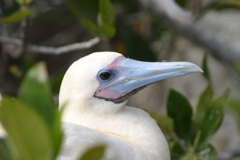 IMG_5412.JPG
