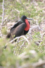 IMG_5425.JPG