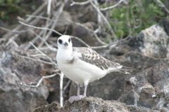 IMG_5435.JPG