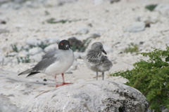 IMG_5473.JPG