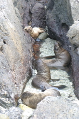 IMG_5478.JPG