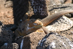 IMG_5579.JPG